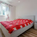 Apartamento Nika *